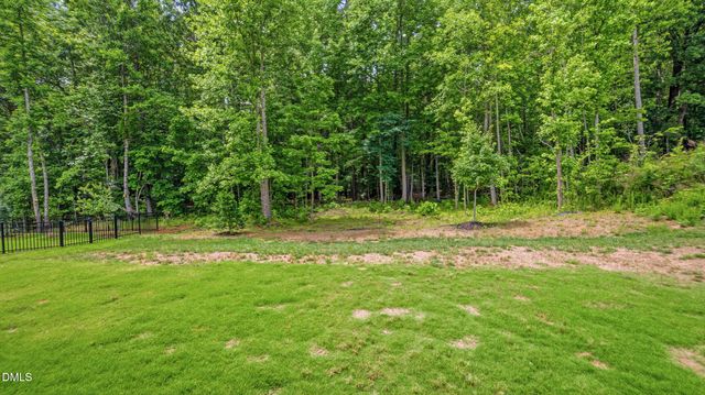 100 Conifer Lane, Youngsville, NC 27596