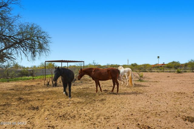 3121 N Conestoga Avenue, Tucson, AZ 85749