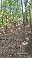 315 Windflower Drive, Big Canoe, GA 30534