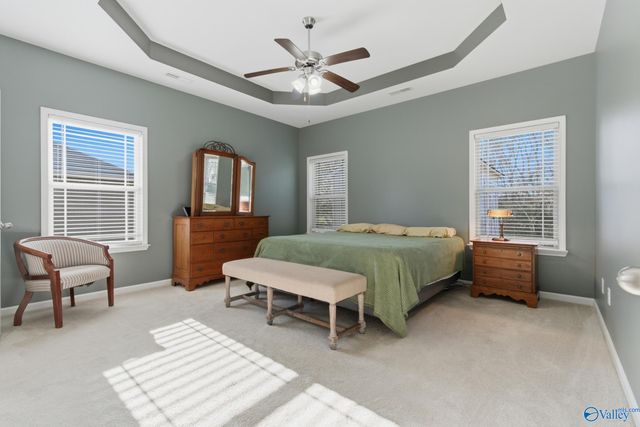 14389 NW Water Stream Drive, Harvest, AL 35749