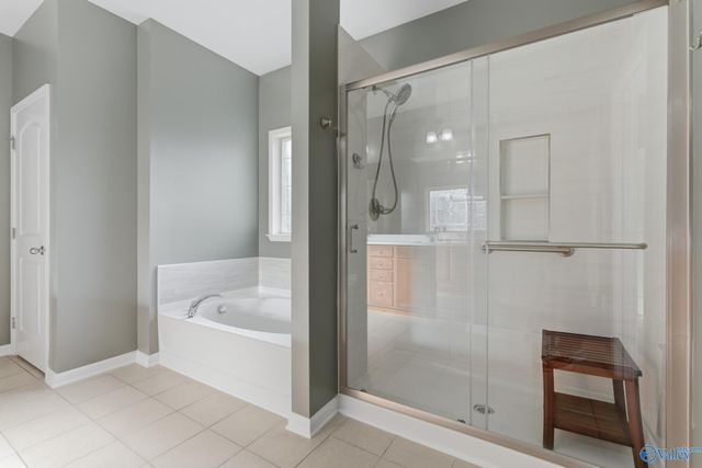 14389 NW Water Stream Drive, Harvest, AL 35749