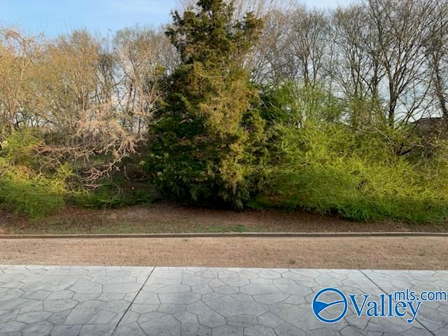 14389 NW Water Stream Drive, Harvest, AL 35749