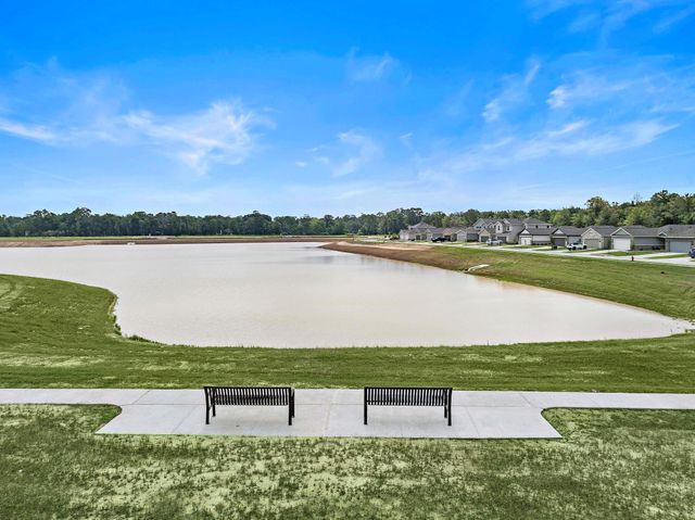 20835 Wildbird Cherry Lane, Porter, TX 77365