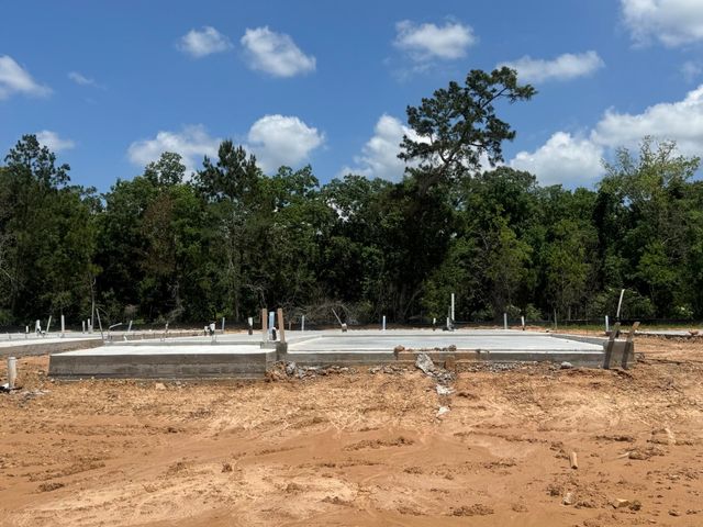 20835 Wildbird Cherry Lane, Porter, TX 77365