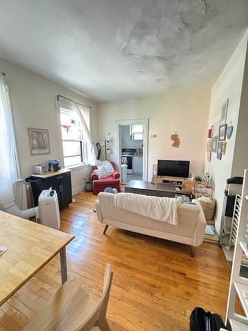 119 Park Street 9, Brookline, MA 02446