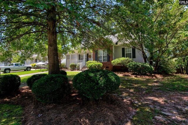 17 Caddis Creek Court, Irmo, SC 29063