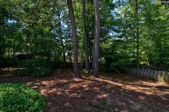 17 Caddis Creek Court, Irmo, SC 29063
