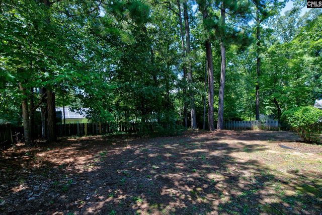 17 Caddis Creek Court, Irmo, SC 29063