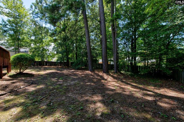 17 Caddis Creek Court, Irmo, SC 29063