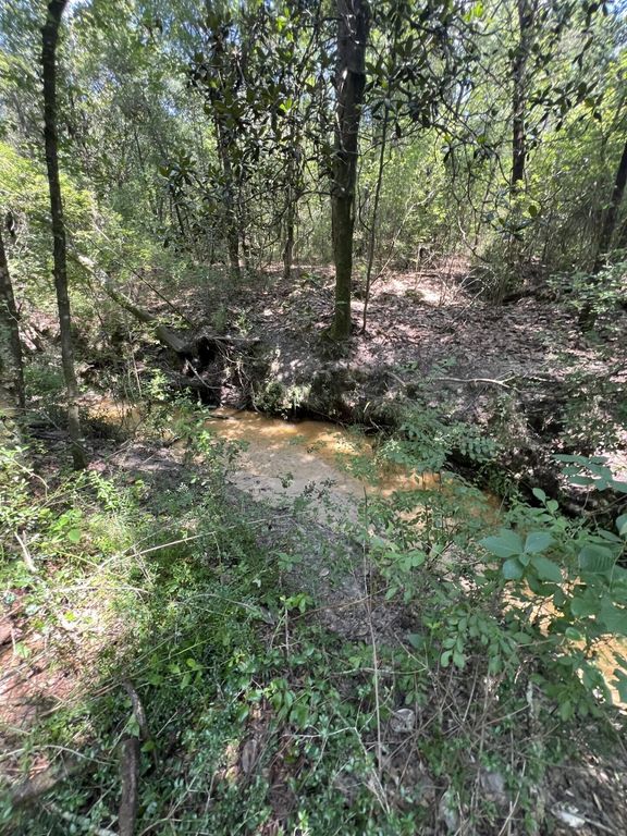 Image 1 of property listing at 6132 Long Road, Laurel Hill, FL 32567