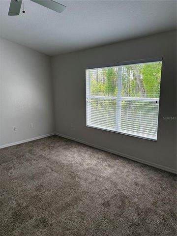 16344 SWAN VIEW CIRCLE, Odessa, FL 33556