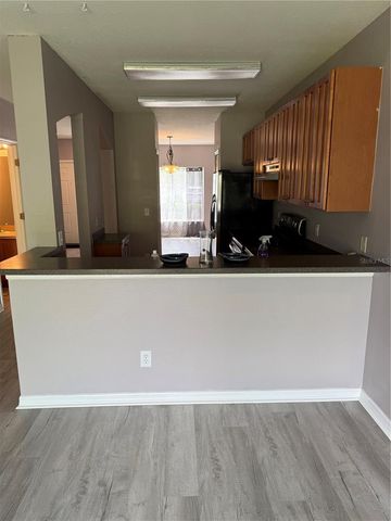 16344 SWAN VIEW CIRCLE, Odessa, FL 33556