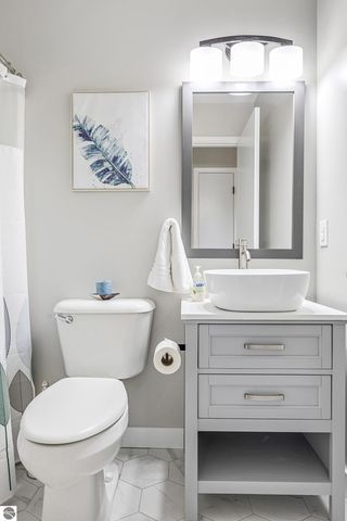 12305 S Lincoln Hollow Court, Cedar, MI 49621