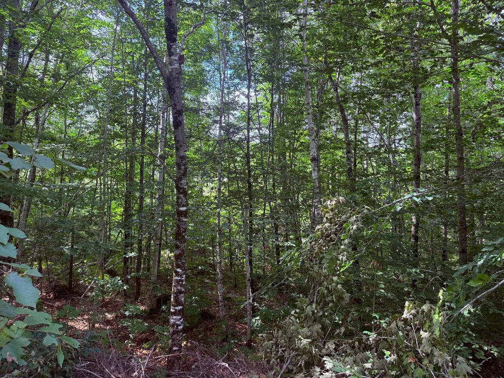 TBD Sawyer Mountain Road, Limerick, ME 04048 — photo 3