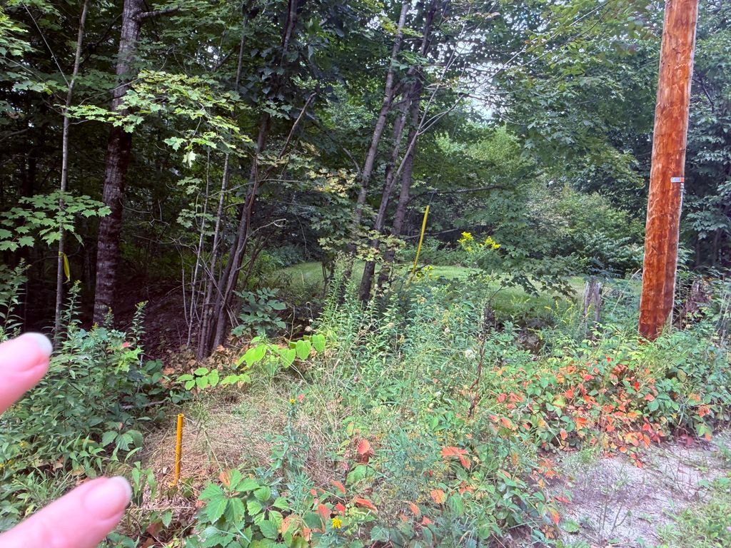 TBD Sawyer Mountain Road, Limerick, ME 04048 — photo 5