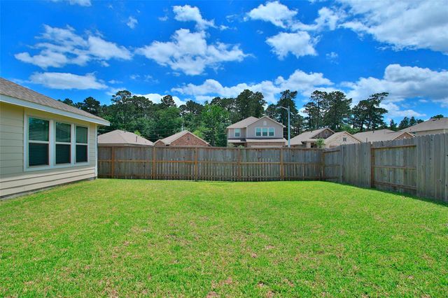 19326 Via Vinovo Court, New Caney, TX 77357