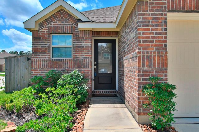 19326 Via Vinovo Court, New Caney, TX 77357