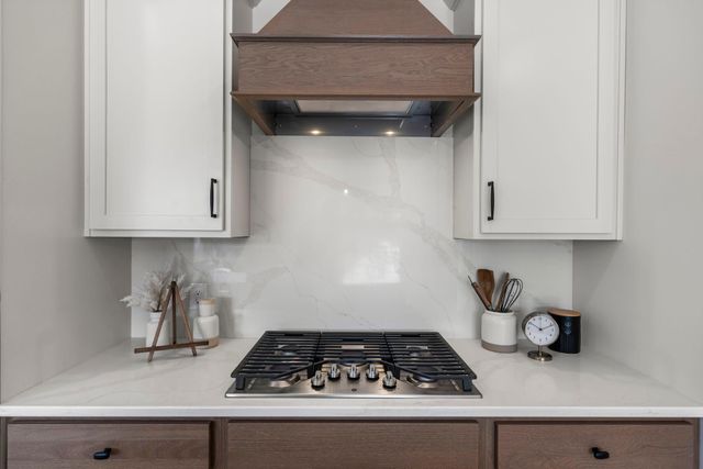 13430 Cadogan Way, Rosemount, MN 55068