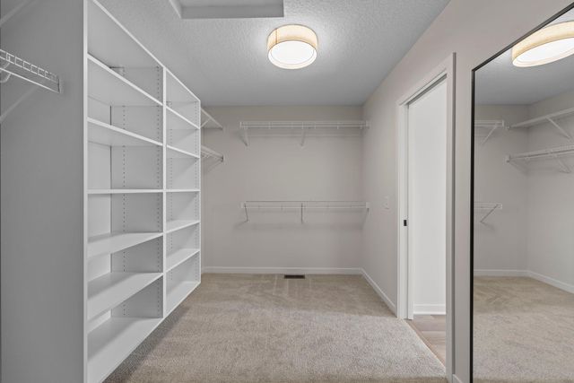 13430 Cadogan Way, Rosemount, MN 55068