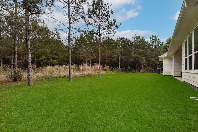 11709 Grand North Road, Willis, TX 77378