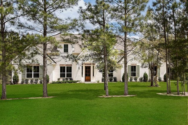 11709 Grand North Road, Willis, TX 77378