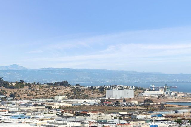 965 Brussels Street, San Francisco, CA 94134
