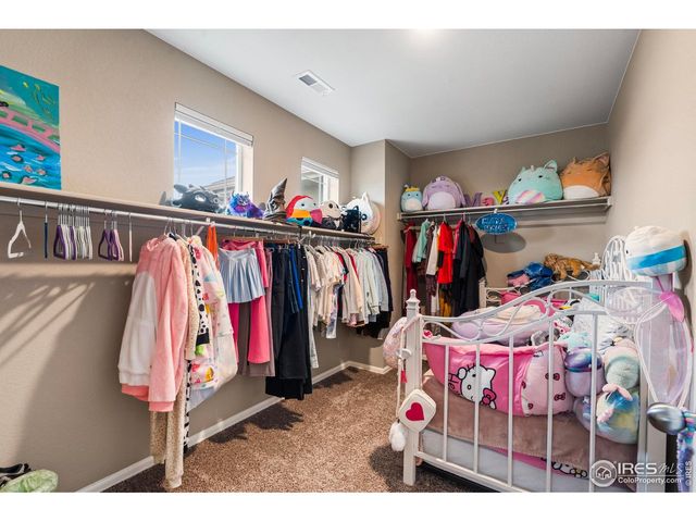 6054 Story Rd, Timnath, CO 80547