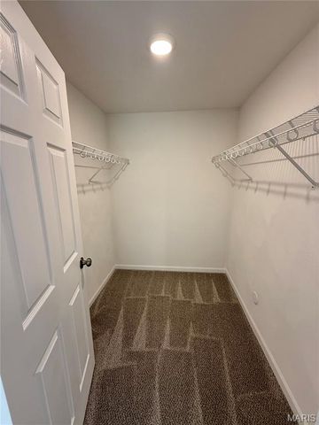 1920 Hawksbill, Belleville, IL 62223