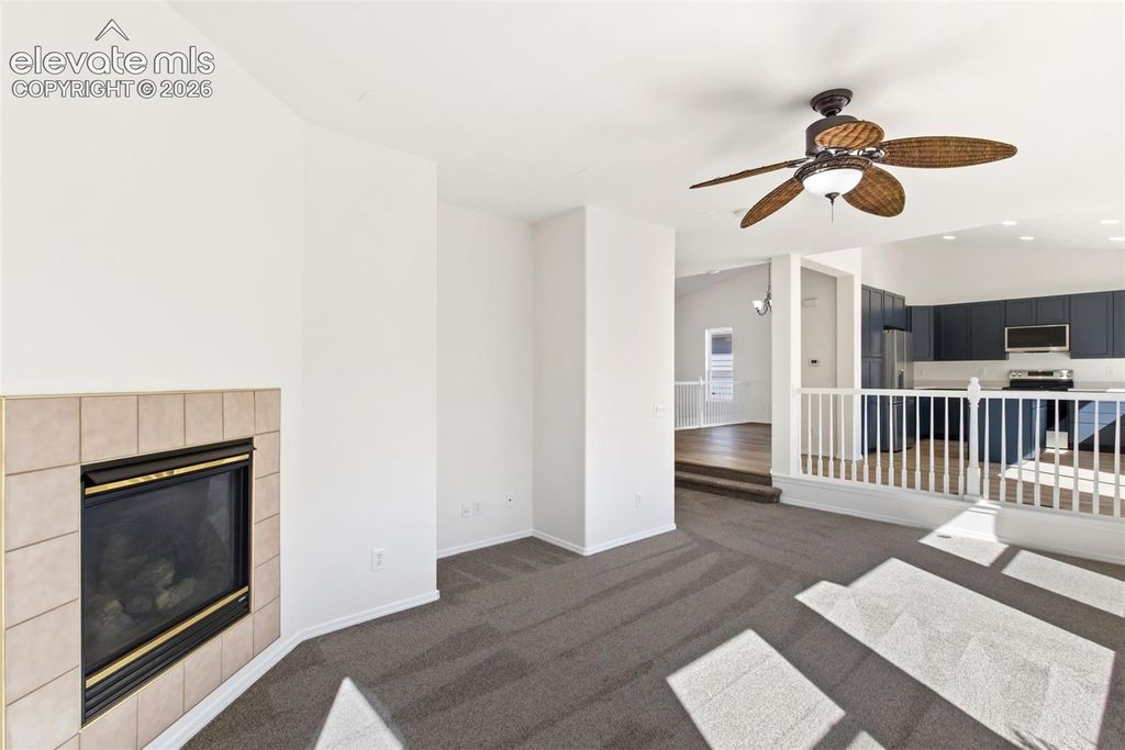 14181 Petrel Drive, Colorado Springs, CO 80921 — photo 5