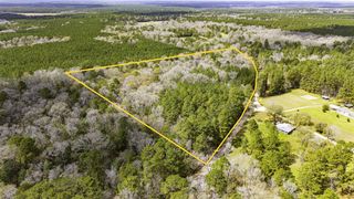 4106 Holly Grove Road, Livingston, TX 77351