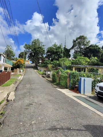 9 MERCEDES HERNÁNDEZ, Aibonito, PR 00705