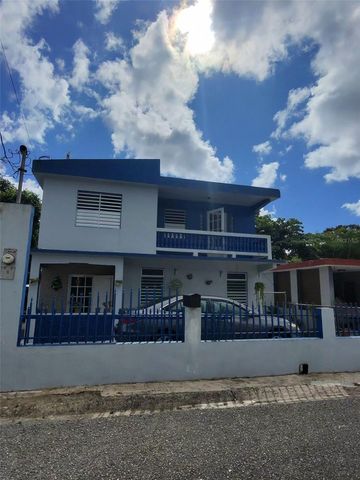 9 MERCEDES HERNÁNDEZ, Aibonito, PR 00705