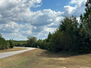 Parcel E New Ebenezer Road, Laurel Hill, FL 32567
