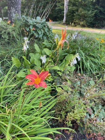 15 Bills Road, Stratton, VT 05360