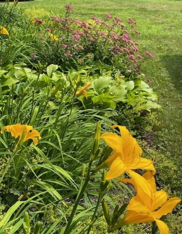 15 Bills Road, Stratton, VT 05360