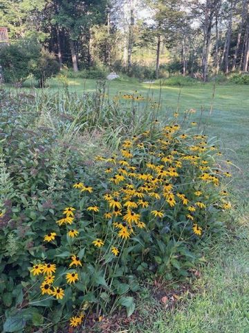 15 Bills Road, Stratton, VT 05360