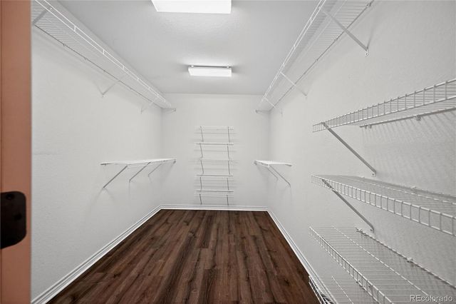 593 Kryptonite Drive, Castle Rock, CO 80108