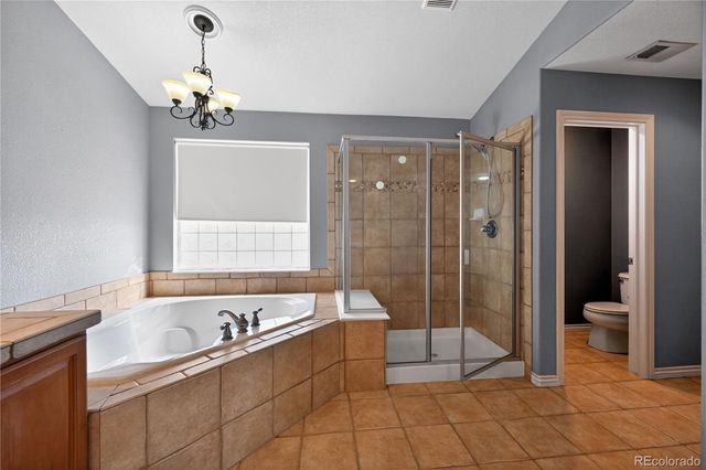 593 Kryptonite Drive, Castle Rock, CO 80108