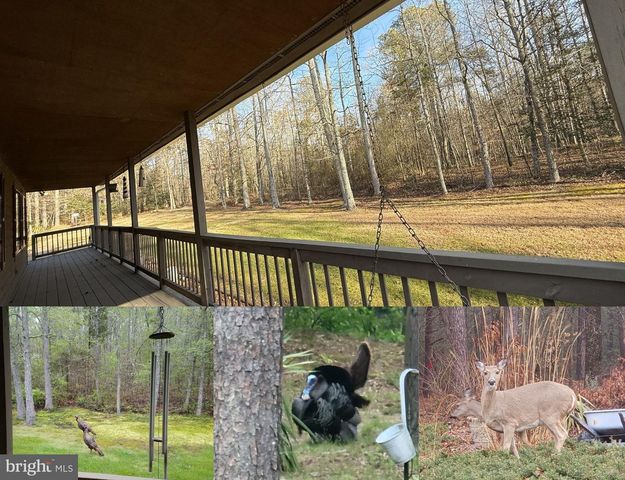 12820 PORTERS LANDING RD, Greensboro, MD 21639