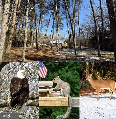 12820 PORTERS LANDING RD, Greensboro, MD 21639