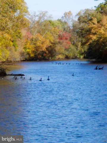 12820 PORTERS LANDING RD, Greensboro, MD 21639