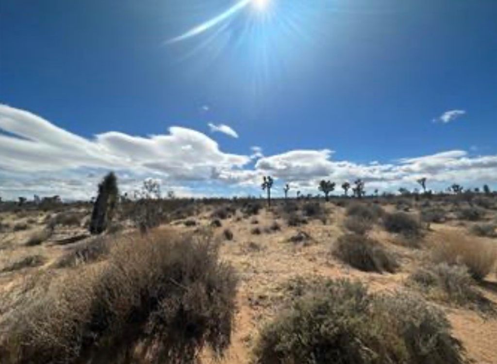 1 Sunny Sands, Yucca Valley, CA 92284