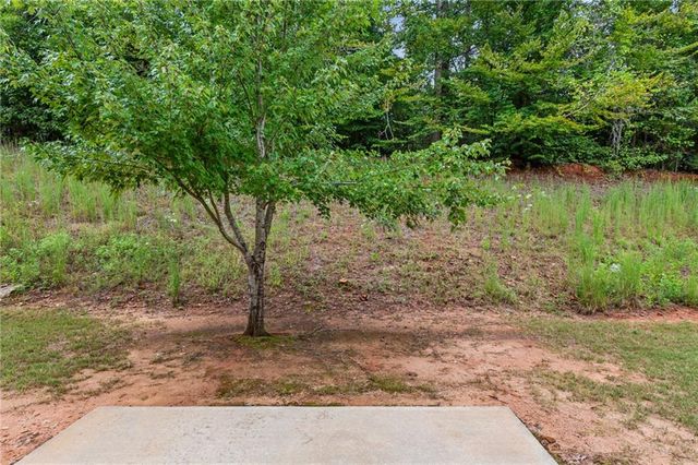 891 Walnut Woods Drive, Braselton, GA 30517