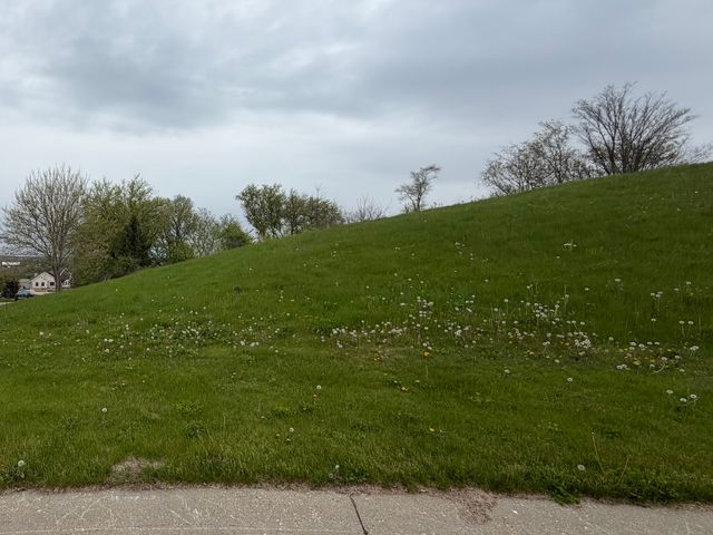 7010 Wildflower Court, Spring Grove, IL 60081