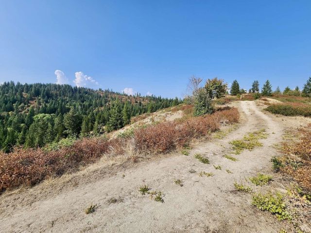 TBD Deer Valley Rd, Newport, WA 99156