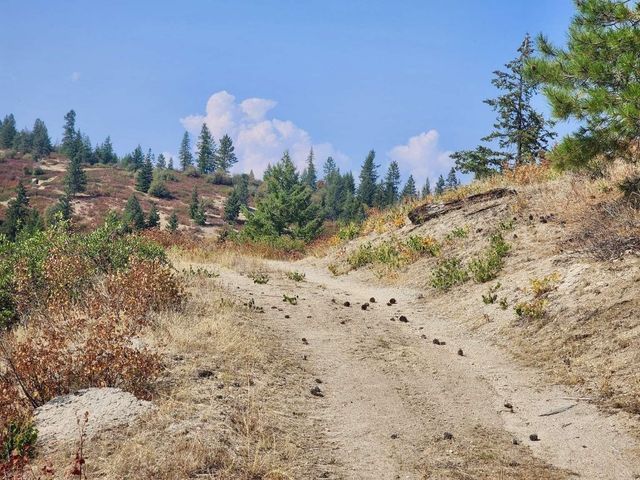 TBD Deer Valley Rd, Newport, WA 99156