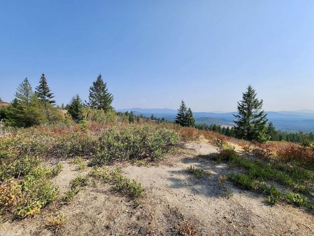 TBD Deer Valley Rd, Newport, WA 99156