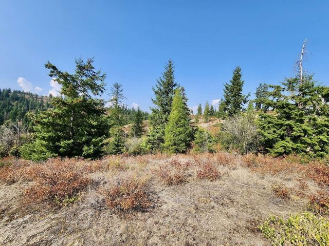 TBD Deer Valley Rd, Newport, WA 99156