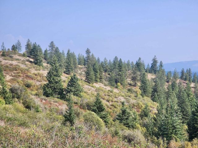TBD Deer Valley Rd, Newport, WA 99156