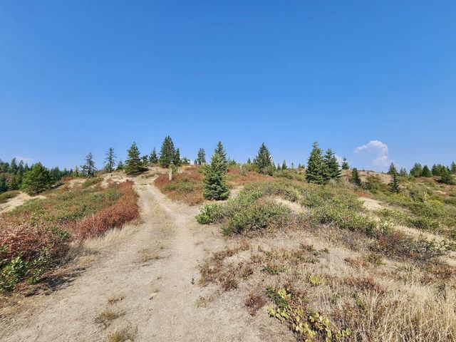 TBD Deer Valley Rd, Newport, WA 99156